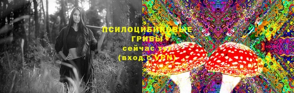 COCAINE Богородск