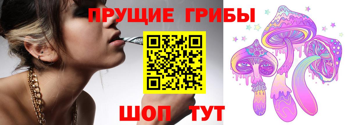 Галлюциногенные грибы GOLDEN TEACHER  Галлюциногенные грибы MAGIC MUSHROOMS  Горно-Алтайск  Вход с VPN 