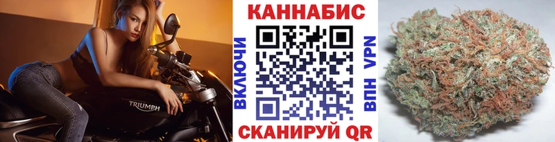 omg ссылки  Горно-Алтайск  Бошки марихуана THC 21% 
